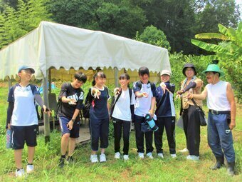 以前の「ひめじ夏のボランティア」参加者の画像