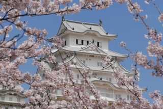 かしの木会 姫路市市民活動 ボランティアサポートセンター ひめじおん